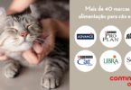 Continente Online reforça oferta de produtos para animais