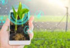 Sustentabilidade será o core da alimentação do futuro