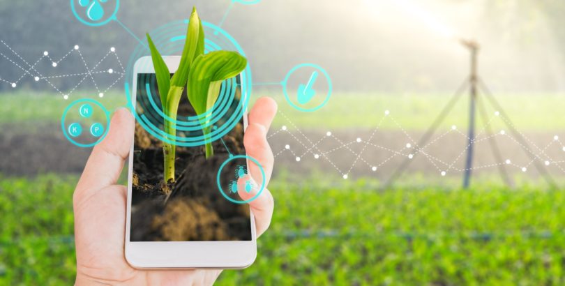Sustentabilidade será o core da alimentação do futuro
