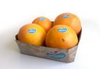 Frusoal quer exportar laranja biológica para a Escandinávia