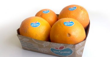 Frusoal quer exportar laranja biológica para a Escandinávia