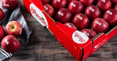 Marca Maria alavanca crescimento do Grupo Luís Vicente