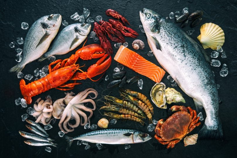 Recursos marinhos podem fornecer 6 vezes mais alimentos do que fornecem atualmente