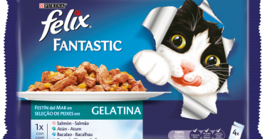 FELIX