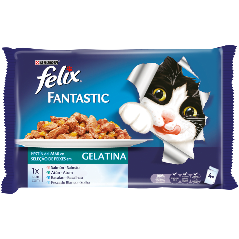 FELIX