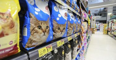 PD corredor animais de estimacao