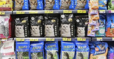 PD corredor animais de estimacao