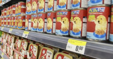 PD corredor animais de estimacao