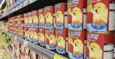PD corredor animais de estimacao