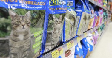 PD corredor animais de estimacao
