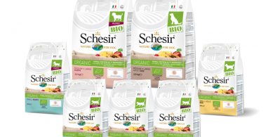 Sch BIO Dry Gruppo canegatto