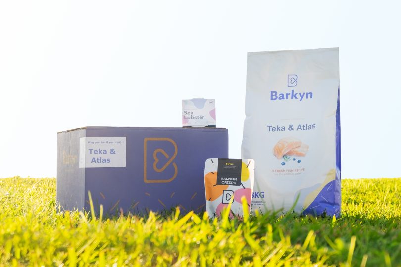 Portuguesa Barkyn lança-se no mercado alemão