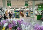 Nova loja para animais e plantas no Funchal
