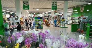 Nova loja para animais e plantas no Funchal