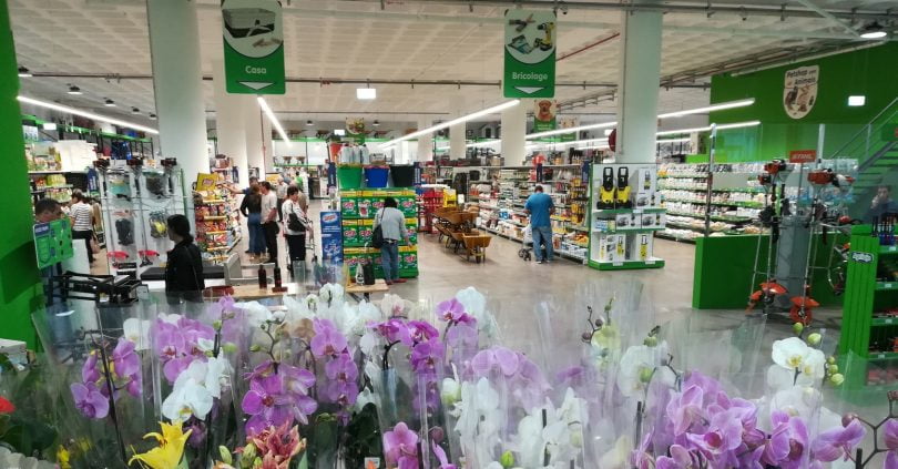 Nova loja para animais e plantas no Funchal