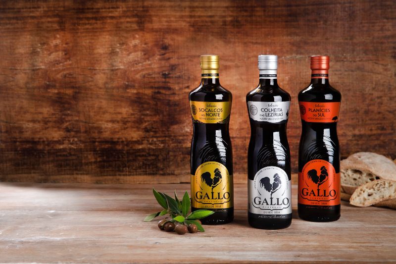 Gallo Seleção Regiões Gama (1)