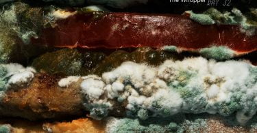 Burger King anuncia eliminação de conservantes com Whopper coberto de bolor