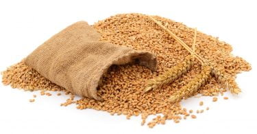 cereais_producao_FAO_jan_2020