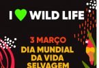 FNAC e Loving the Planet juntos para promover sustentabilidade