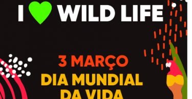 FNAC e Loving the Planet juntos para promover sustentabilidade