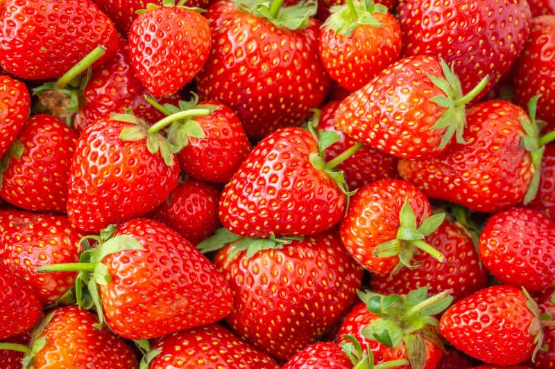 morangos