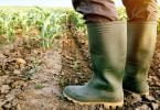  PAN pede ao governo mais apoios no setor agrícola