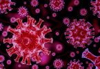 Covid-19: Trabalho a partir de casa é hipótese para maioria em caso de epidemia