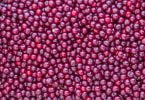 Frutóbidos anuncia construção de nova unidade de produção