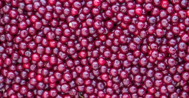 Frutóbidos anuncia construção de nova unidade de produção