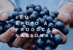 Plataforma apoia produção portuguesa
