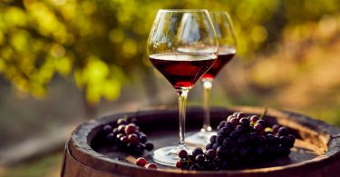 vinhos do tejo