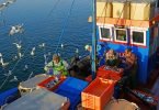 pesca_pescadores