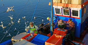 pesca_pescadores