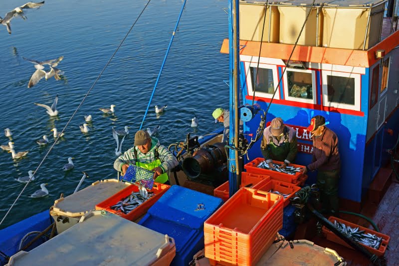 pesca_pescadores