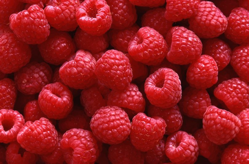 Lusomorango entrega cerca de 8 toneladas de framboesas ao banco alimentar