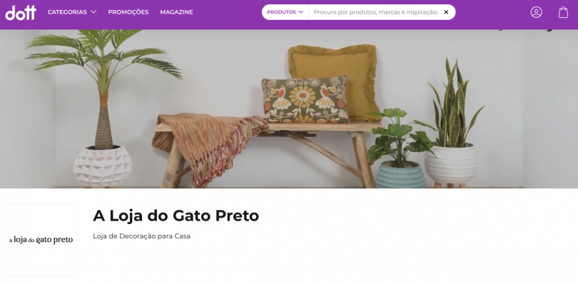 dott gato preto