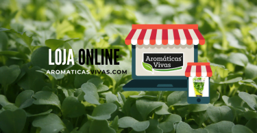 Press Release Lançamento Loja Online  e