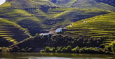 Sogevinus_Quinta_da_Boavista