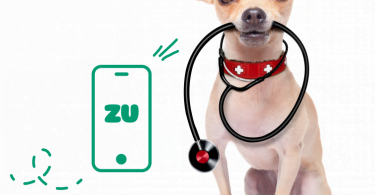 zu