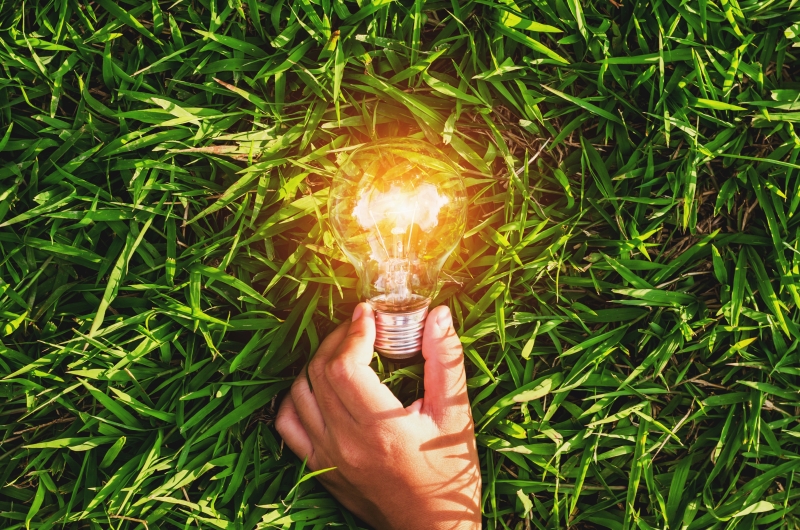 Sustentabilidade-impacta-padrões-de-compra-dos-consumidores
