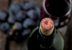 Vinho biológico: moda ou novo nicho de mercado?