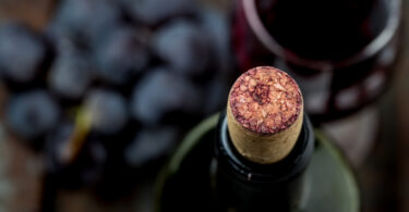 Vinho biológico: moda ou novo nicho de mercado?