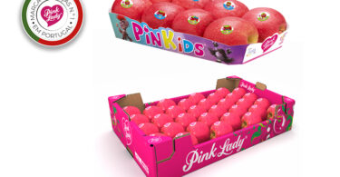 destaque pink lady