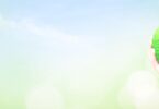 sustentabilidade