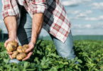 Portugal é o terceiro país com melhor execução dos fundos comunitários para a agricultura