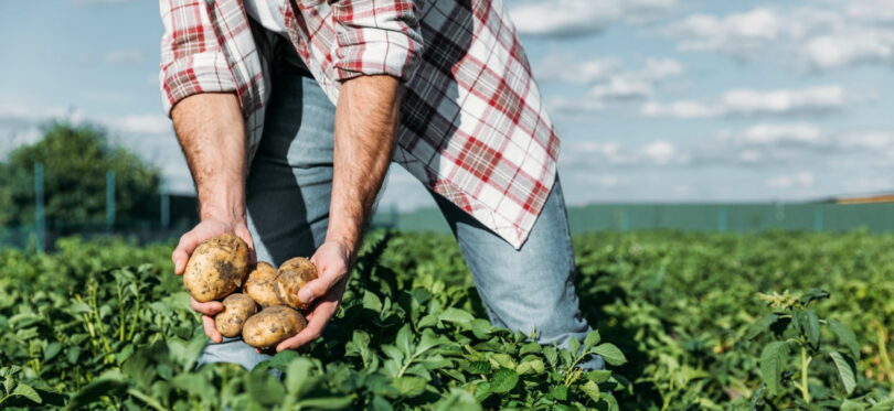 Portugal é o terceiro país com melhor execução dos fundos comunitários para a agricultura