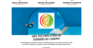 Emissões de Carbono