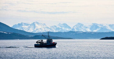boat in the middle of the sea e