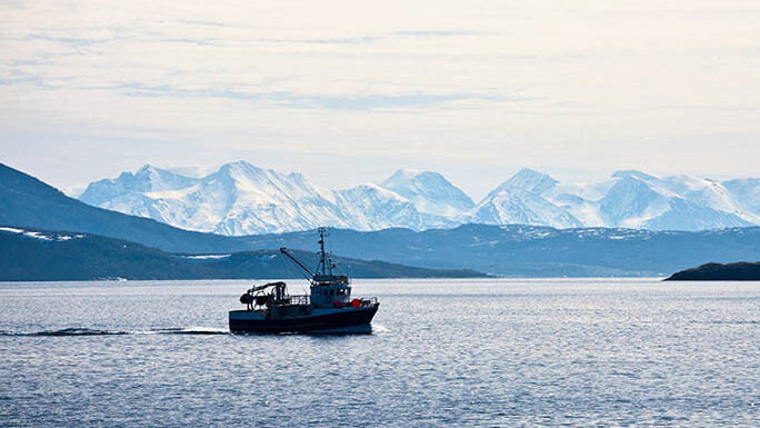 boat in the middle of the sea e