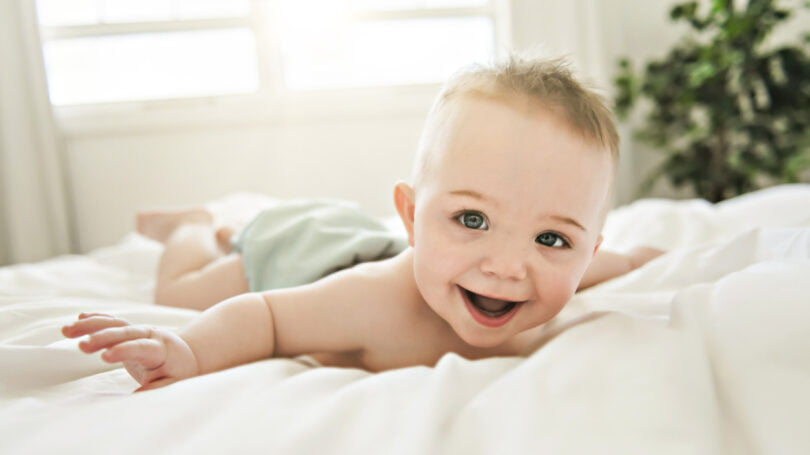 iStock  e